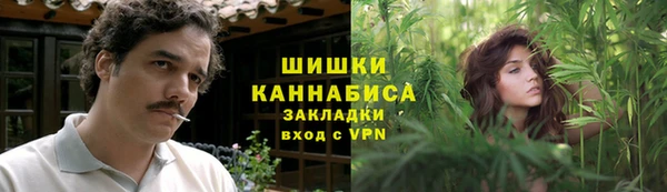 не бодяженный Бородино