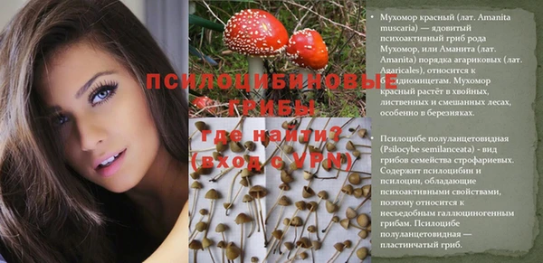 индика Белоозёрский