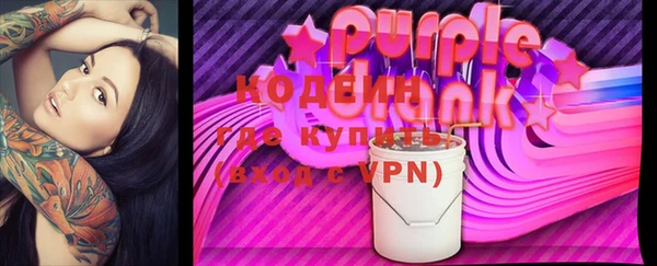 прущий лед Анива