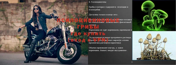 тгк Бронницы