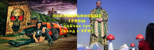 тгк Бронницы